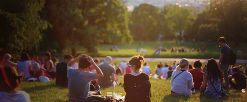 Summer Sunset Picnic in the Park